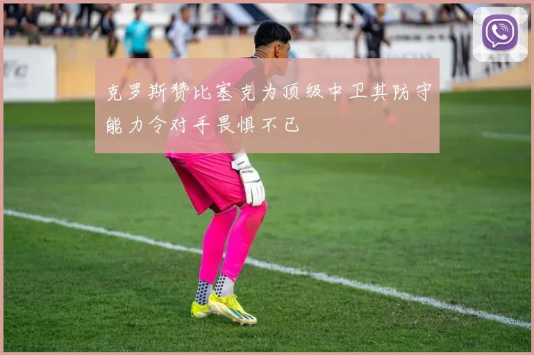 克罗斯赞比塞克为顶级中卫其防守能力令对手畏惧不已