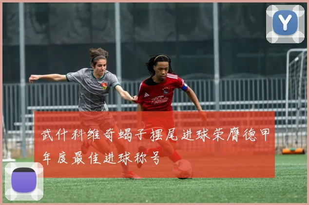 武什科维奇蝎子摆尾进球荣膺德甲年度最佳进球称号